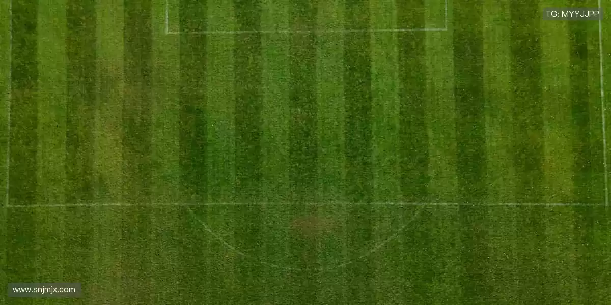 🎉 赛事回放随时看，经典瞬间一键收藏！