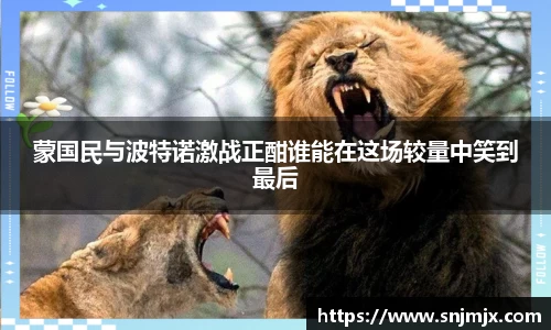 中欧体育手机最新版本